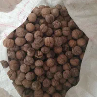 گردو درجه یک عالی|خوردنی و آشامیدنی|کلاشی, |دیوار