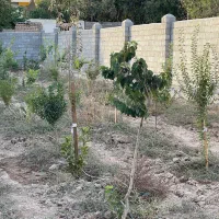 باغ دیوارکشی شده