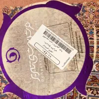 فرش ابریشم گونه بهشتی|فرش|تهران, هروی|دیوار