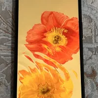 آنر x6b|موبایل|سبزوار, هویزه|دیوار
