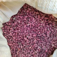 لوبیای قرمز خورشتی