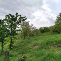 240م زمین تومنطقه بکرجنگلی مناسب ساخت کلبه سوییسی