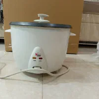 پلوپز و مینی سرخ کن