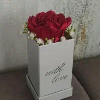 گل ربانی تک شاخه فقط و فقط 150هدیه روز دانش آموز|گل مصنوعی|شیراز, دارالرحمه|دیوار