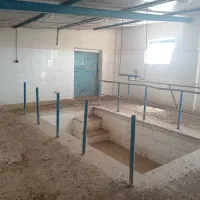 گاوداری 25 راسی 3500متری سند ششدانگ|فروش دفتر صنعتی، کشاورزی، تجاری|نیشابور, دربقاضی|دیوار