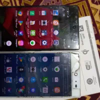 دو عدد موبایل پنتک
