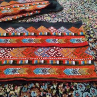 زیاستین گشتی