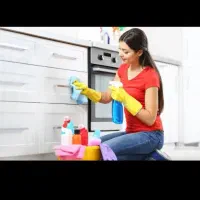 نیروی کار خانم در نظافت منزل