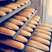 استخدام فرکار نان فانتزی حقوق ۳۰ میلیون + خرجی