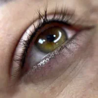 تخفیف ‌رژ لب دائم شیدینگ ومیکروبلیدینگ ابرووبنمژه|خدمات آرایشگری و زیبایی|رشت, سعدی (تختی)|دیوار