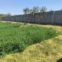 باغ ویلایی در کوی پارادایس بارانلو|فروش خانه و ویلا|خسروشاه, |دیوار