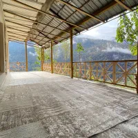 اقامتگاه چوبینه واحد استخر دار جنگلی|اجارهٔ کوتاه‌مدت ویلا و باغ|علی‌آباد کتول, |دیوار