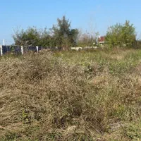 زمین مسکونی 330 متری گیلان با مجوز ساخت|فروش زمین و ملک کلنگی|لاهیجان, آهندان|دیوار