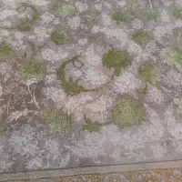 چهار تخته فرش ۱۲متری ۱۲۰۰شانه تراکم ۳۶۰۰|فرش|تهران, شهرک استقلال|دیوار
