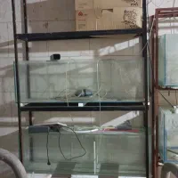 فروش آکواریوم یک متری