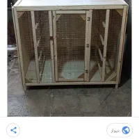 قفس مرغ|لوازم جانبی حیوانات|رشت, گلباغ نماز|دیوار