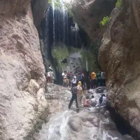 راهنمایی برای طبیعت گردی جنگل|تور و چارتر|مشهد, دانش|دیوار