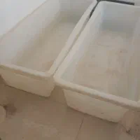 وان مخصوص سبزی فروشی و پروش ماهی و با ضخامت|فروشگاه و مغازه|مشهد, استاد یوسفی (شهرک غرب)|دیوار