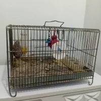 قفس سهره پرنده ط رق ه خاکی|لوازم جانبی حیوانات|رباط‌کریم, رباط‌کریم|دیوار