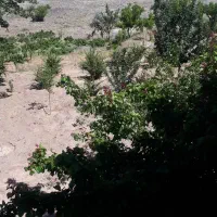 فروش فوری کلاته دربست