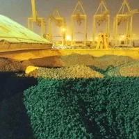 کـارگزار رسمـی گمرک،تـرخیص کـالا،واردات|خدمات حمل و نقل|شیراز, زرهی|دیوار