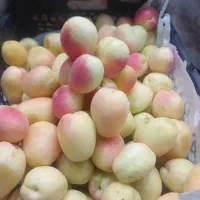 کارگر ساده