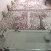 یک عدد آکواریوم