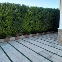 هرس و رسیدگی به باغ و حیاط شما با کمترین قیمت