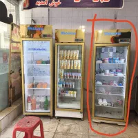 یخچال تک درب استیل طلایی 65سانتی|فروشگاه و مغازه|تهران, دولتخواه جنوبی|دیوار