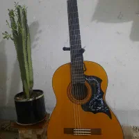 گیتار درحد نو c40 اندونزی|گیتار، بیس، امپلیفایر|قم, دانش|دیوار