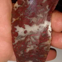 فروش سه تیکه شجر پاییزیه خیلی زیبا