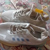 کفش کتونی اسپورت|کیف، کفش، کمربند|بومهن, |دیوار