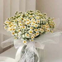 گلفروشی ، ثبت سفارش دسته گل آنلاین