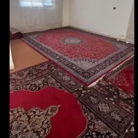آپارتمان 50 متری تک واحدی|اجارهٔ آپارتمان|تهران, مخصوص|دیوار