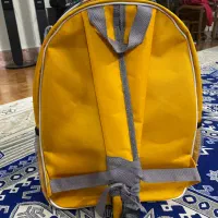 کیفه همراه گربه و پرنده و سگ نو|لوازم جانبی حیوانات|تهران, گلستان (شهرک راه آهن)|دیوار