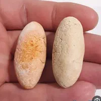 دعا|بدلیجات|سبزوار, هویزه|دیوار