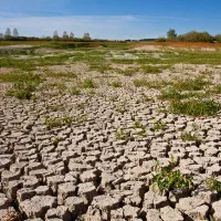 فروش زمین کشاورزی