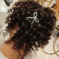 آموزش صفرتا صد شنیون