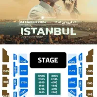 ۲عدد بلیط کنسرت معین