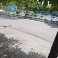 نیروی کار در کارواش
