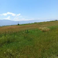 فروش زمین کشاورزی 20هکتاری