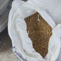 گندم فروش