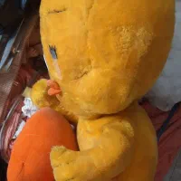 فروش عروسک واسکوتر