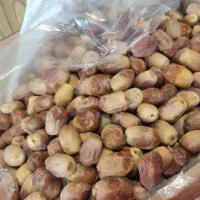 خرمای زاهدی درجه یک خشک و شیرین|خوردنی و آشامیدنی|تهران, مرزداران|دیوار