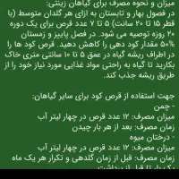 قرص کود|گل و گیاه طبیعی|دوگنبدان, |دیوار