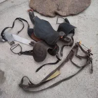 زین و دهنه و .... لوازم کامل اسب سواری پول لازمم|اسب و تجهیزات اسب‌سواری|مشهد, شهرک مهر آباد|دیوار