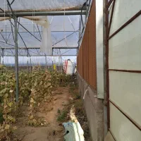 فروش-گلخانه-فرصت-سرمایه-گذاری