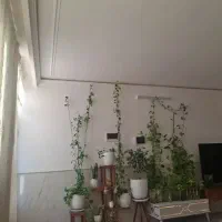 اجاره-زیر-زمین