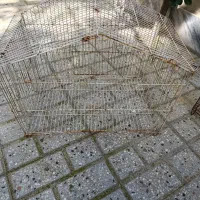 ۴عددقفس