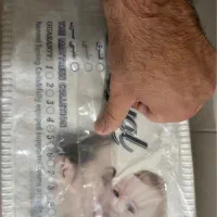 تشک رویال اصل پک اصل کارخونه ای حتی باز هم نشده